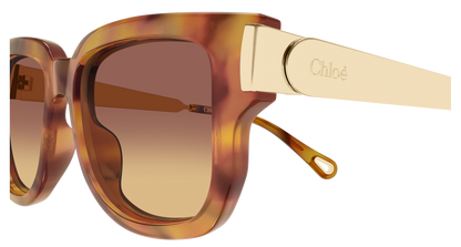 CHLOÉ CH0351S 002 54