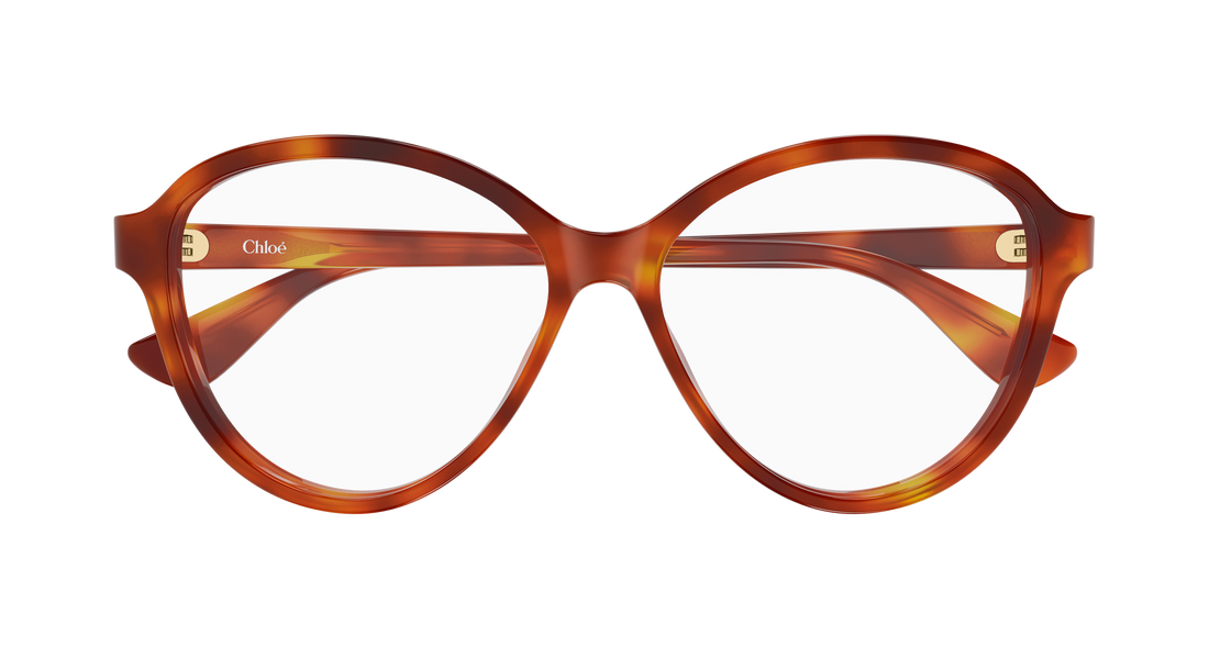 Briller chloé ch0392o 002 havana round/oval/panthos femenino størrelse 57mm - Detaljeret visning