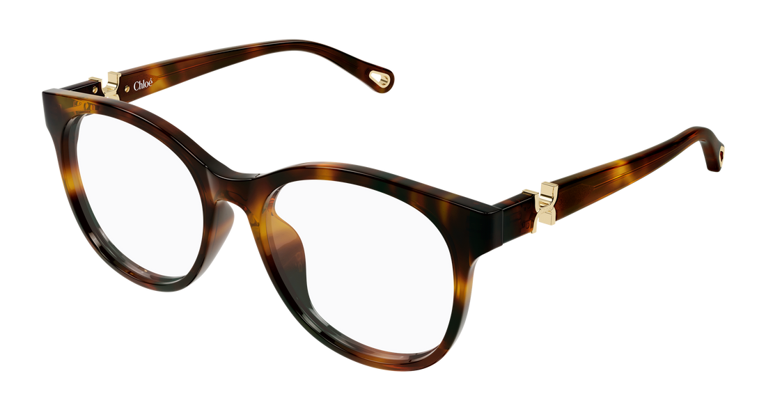 Briller chloé ch0375o 002 havana round/oval/panthos femenino størrelse 54mm - Hovedvisning