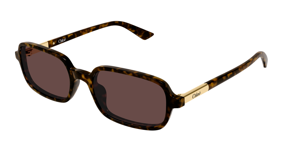 Occhiali da sole chloé ch0363s 002 havana rectangular / squared femenino taglia 53mm - Vista principale