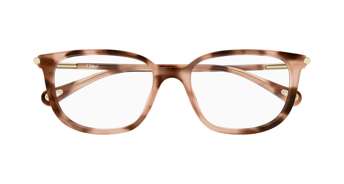 Briller chloé ch0400o 003 havana cat eye femenino størrelse 53mm - Detaljeret visning