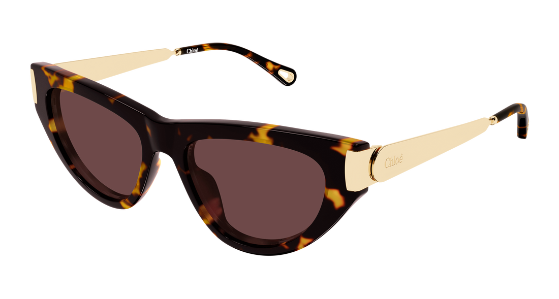 Gafas de sol chloé ch0350s 003 havana cat eye femenino talla 54mm - Vista principal