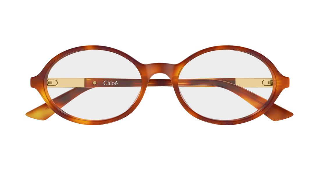Óculos graduados chloé ch0367o 002 havana round/oval/panthos femenino tamanho 54mm - Vista de detalhe