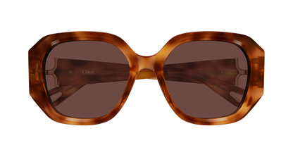 CHLOÉ CH0236S 006 56