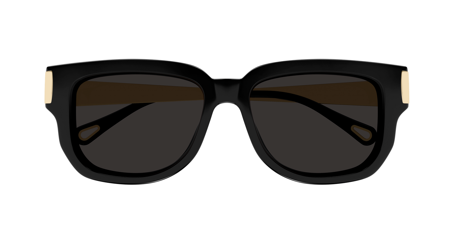 CHLOÉ CH0351S 001 54