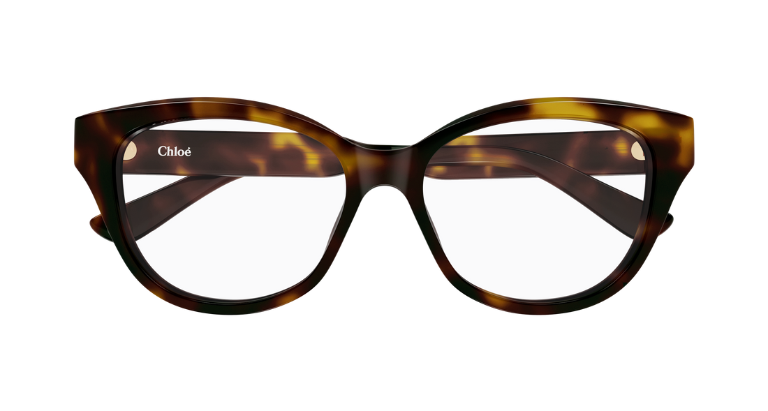 Briller chloé ch0381ol 002 havana cat eye femenino størrelse 51mm - Detaljeret visning