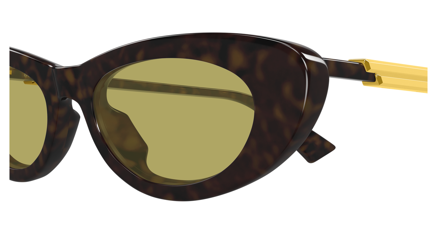 Bottega Veneta BV1447S 002 51