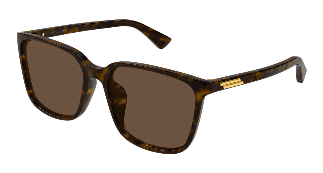Sunčane naočale bottega veneta bv1516sk 002 havana rectangular / squared unisex veličina 57mm - Glavni prikaz