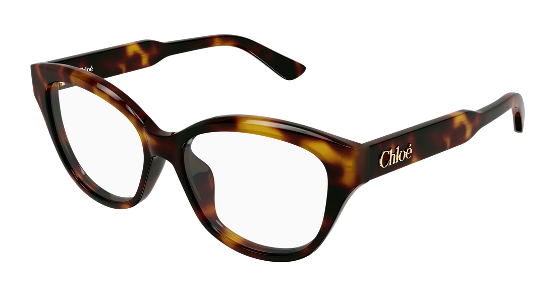 Briller chloé ch0381ol 007 havana cat eye femenino størrelse 54mm - Hovedvisning