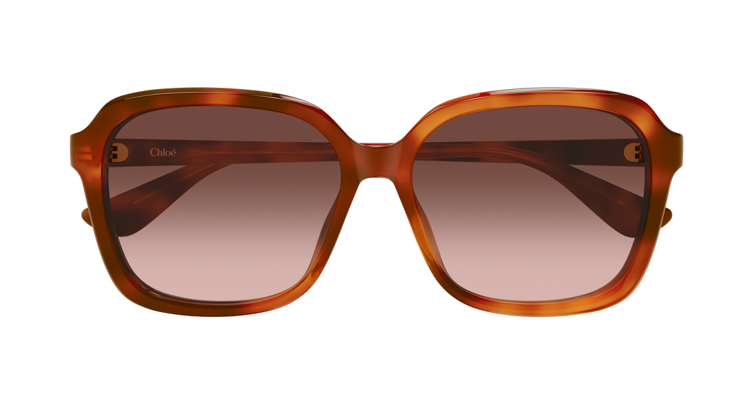 Solbriller chloé ch0390sk 002 havana rectangular / squared femenino størrelse 59mm - Detaljeret visning