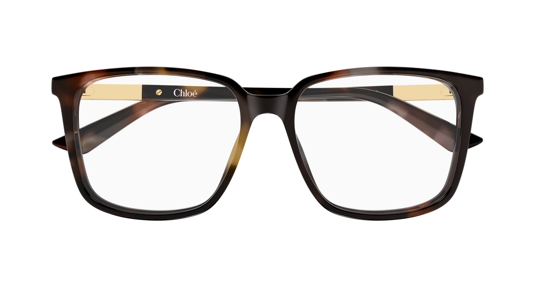 Briller chloé ch0369o 003 havana rectangular / squared femenino størrelse 55mm - Detaljeret visning
