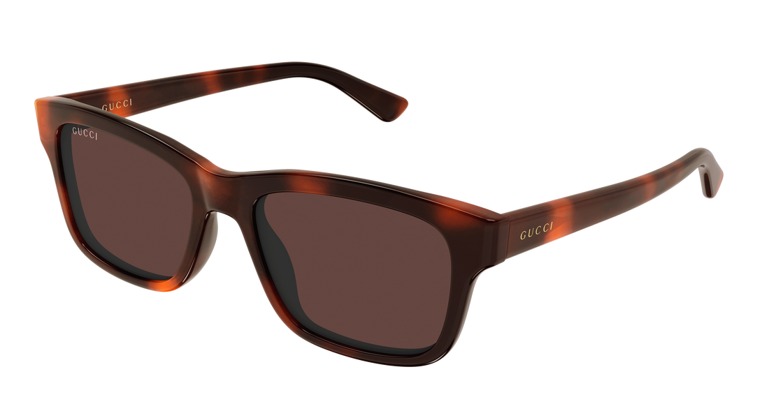 Sunčane naočale gucci gg2243s 002 havana rectangular / squared masculino veličina 54mm - Glavni prikaz