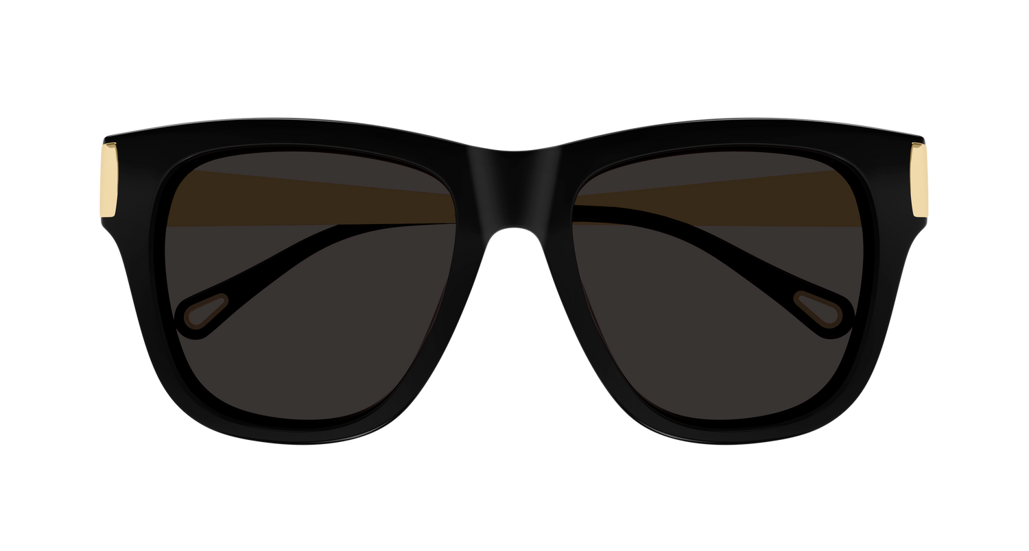 CHLOÉ CH0349S 001 54