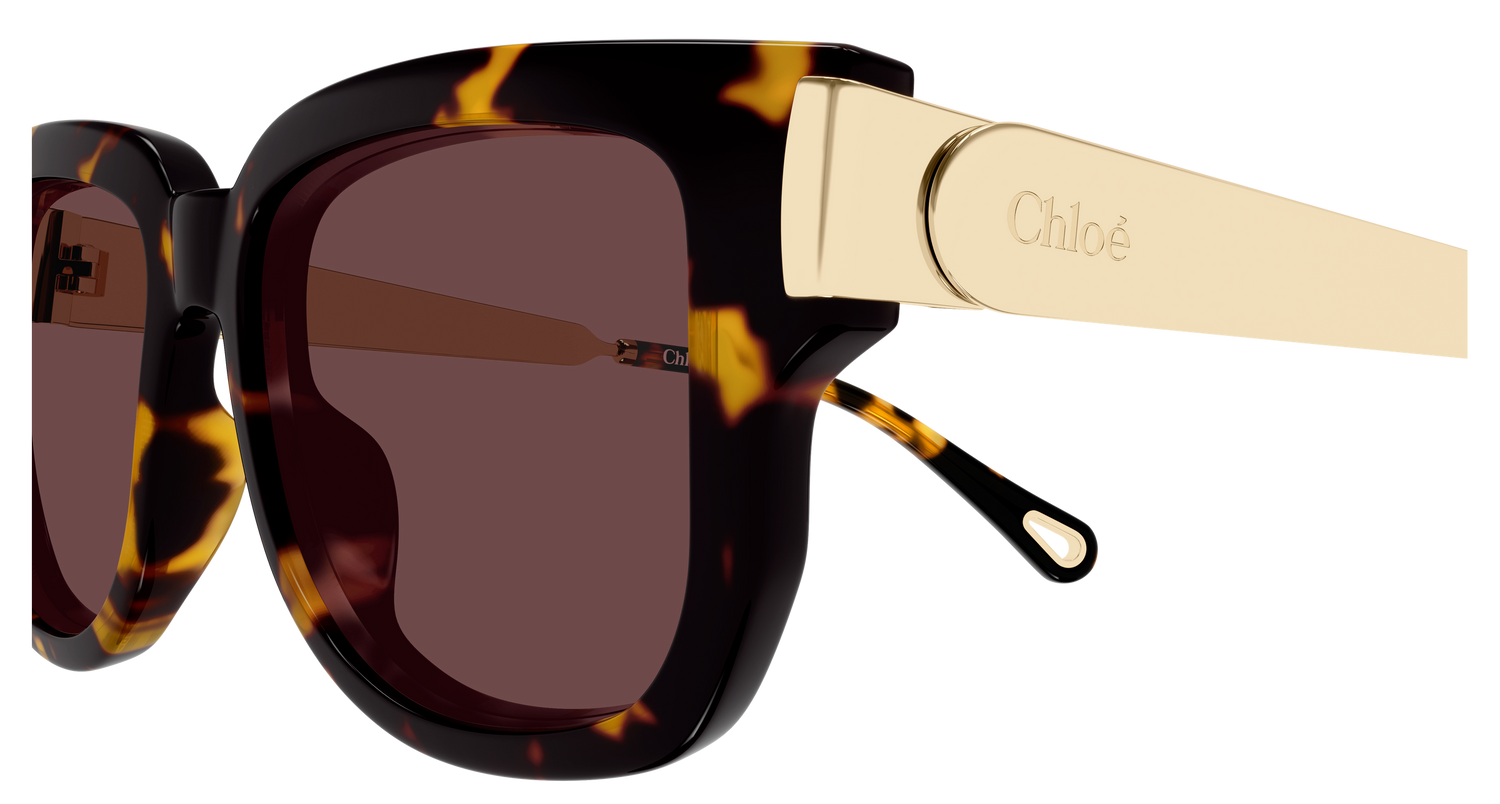 CHLOÉ CH0351S 003 54