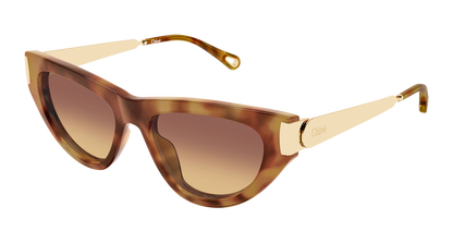 CHLOÉ CH0350S 002 54