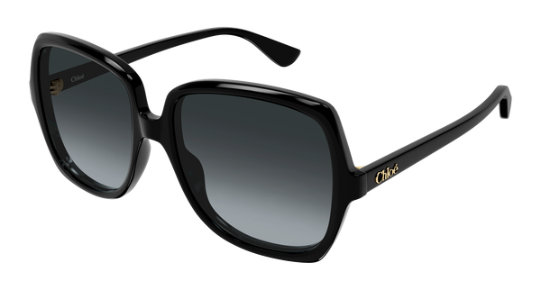 CHLOÉ CH0388S 001 59