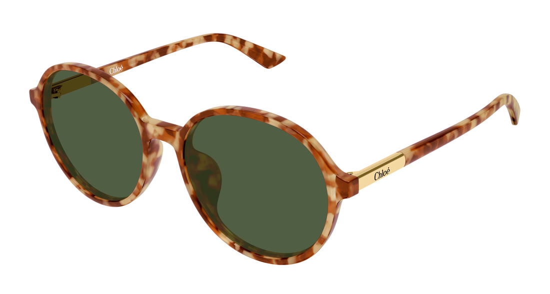 Gafas de sol chloé ch0365sk 004 havana round/oval/panthos femenino talla 57mm - Vista principal