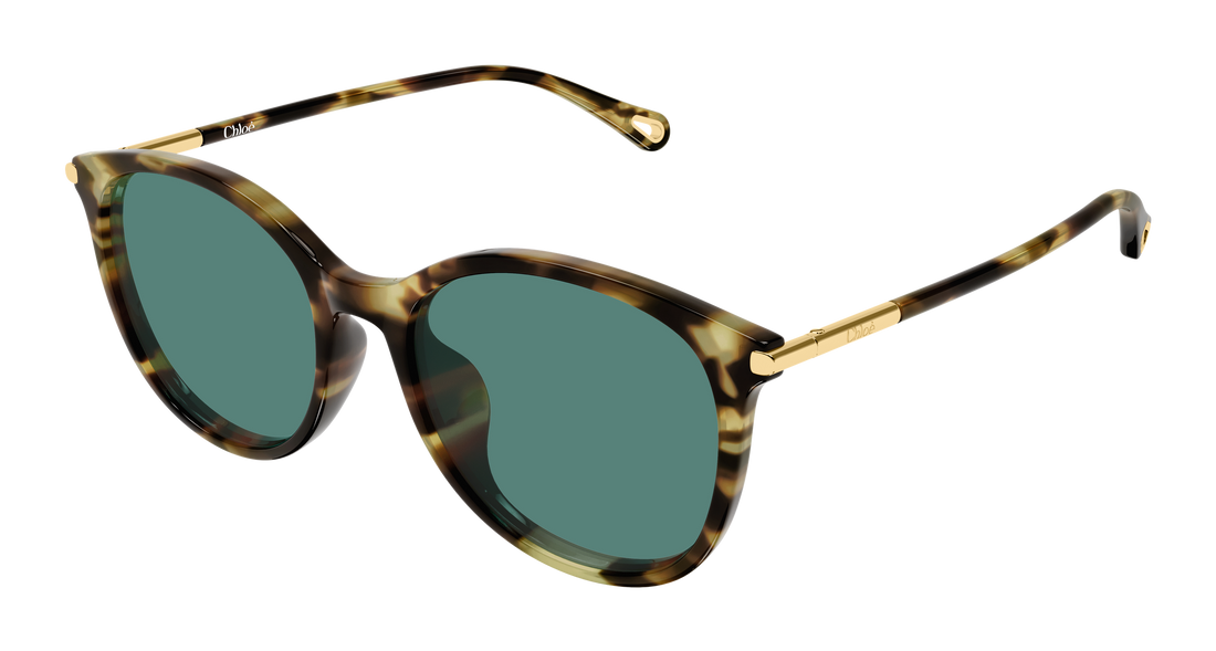 Solbriller chloé ch0397sk 002 havana round/oval/panthos femenino størrelse 56mm - Hovedvisning