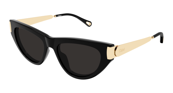 CHLOÉ CH0350S 001 54