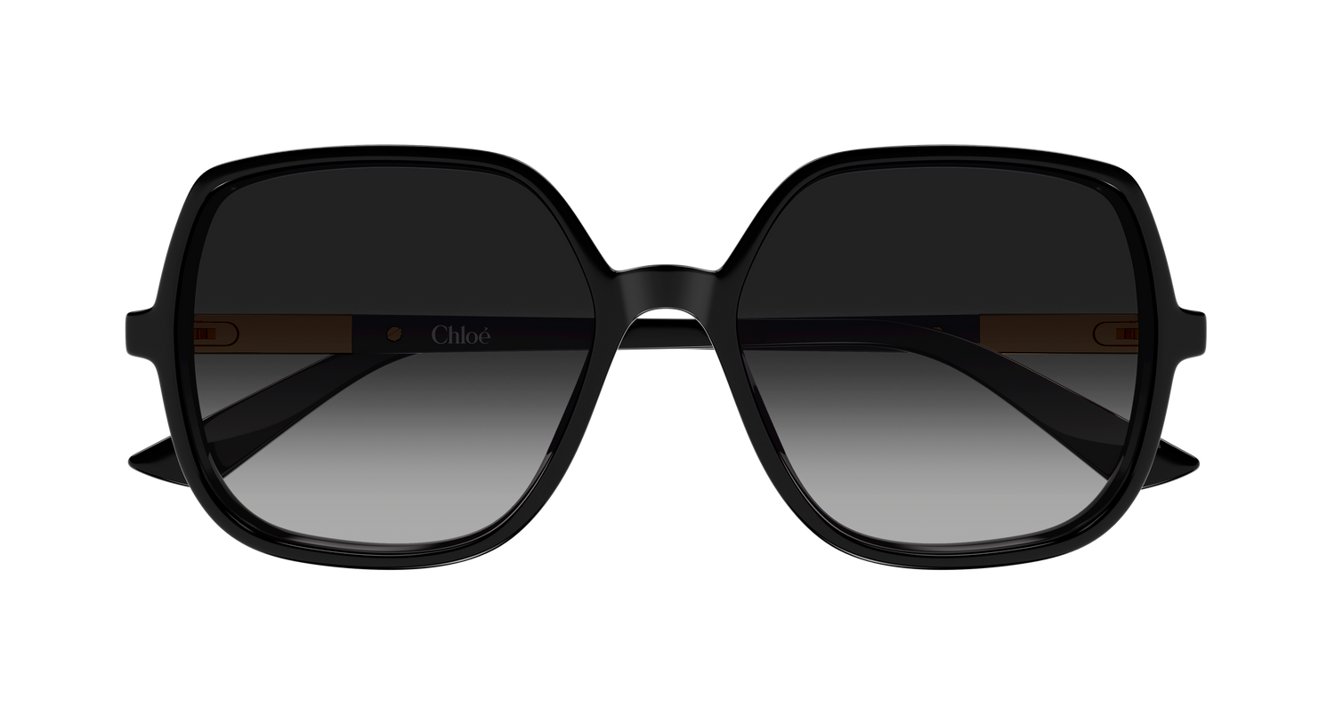 CHLOÉ CH0362S 001 55