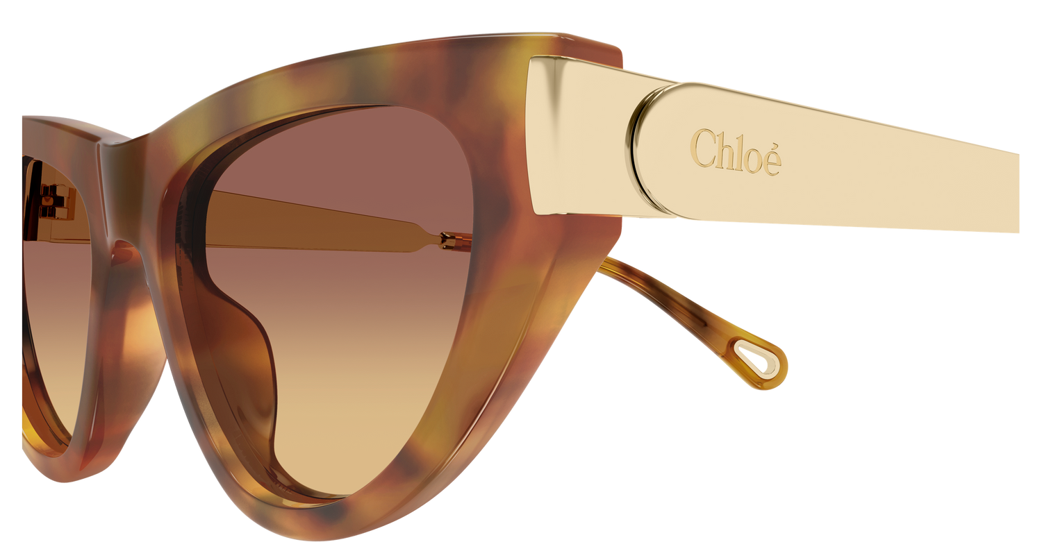 CHLOÉ CH0350S 002 54