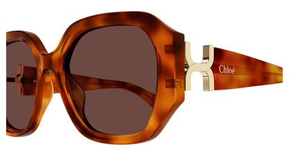CHLOÉ CH0236S 006 56