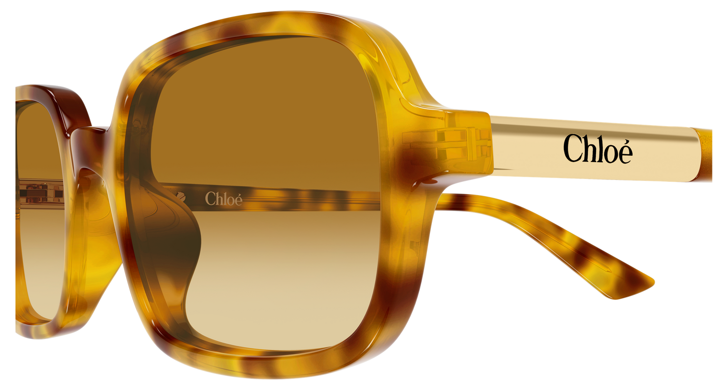 CHLOÉ CH0363S 004 53