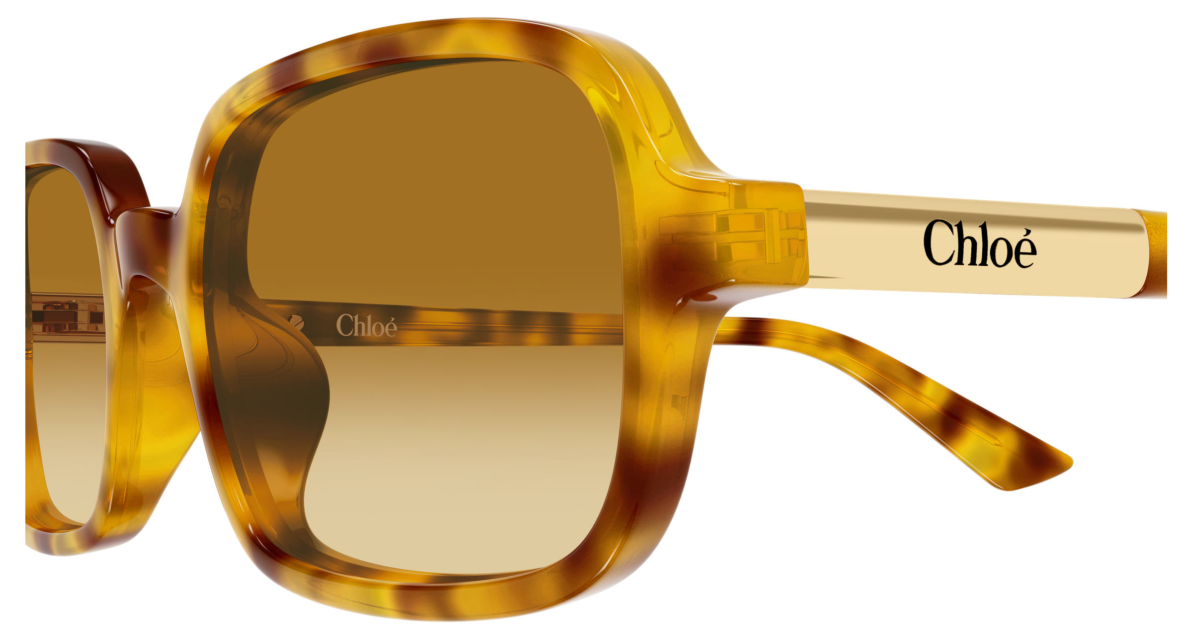 CHLOÉ CH0363S 004 53