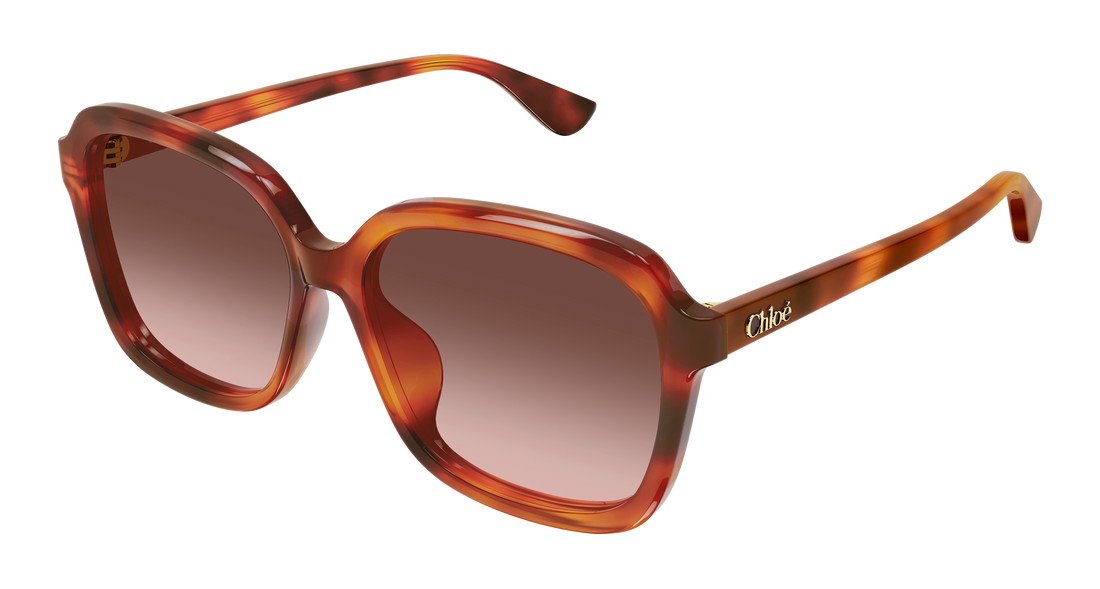 Solbriller chloé ch0390sk 002 havana rectangular / squared femenino størrelse 59mm - Hovedvisning