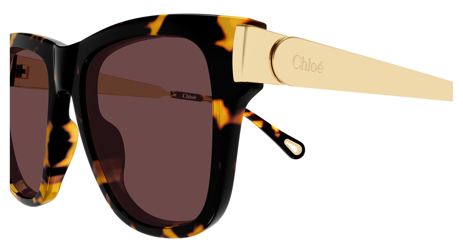 CHLOÉ CH0349S 003 54