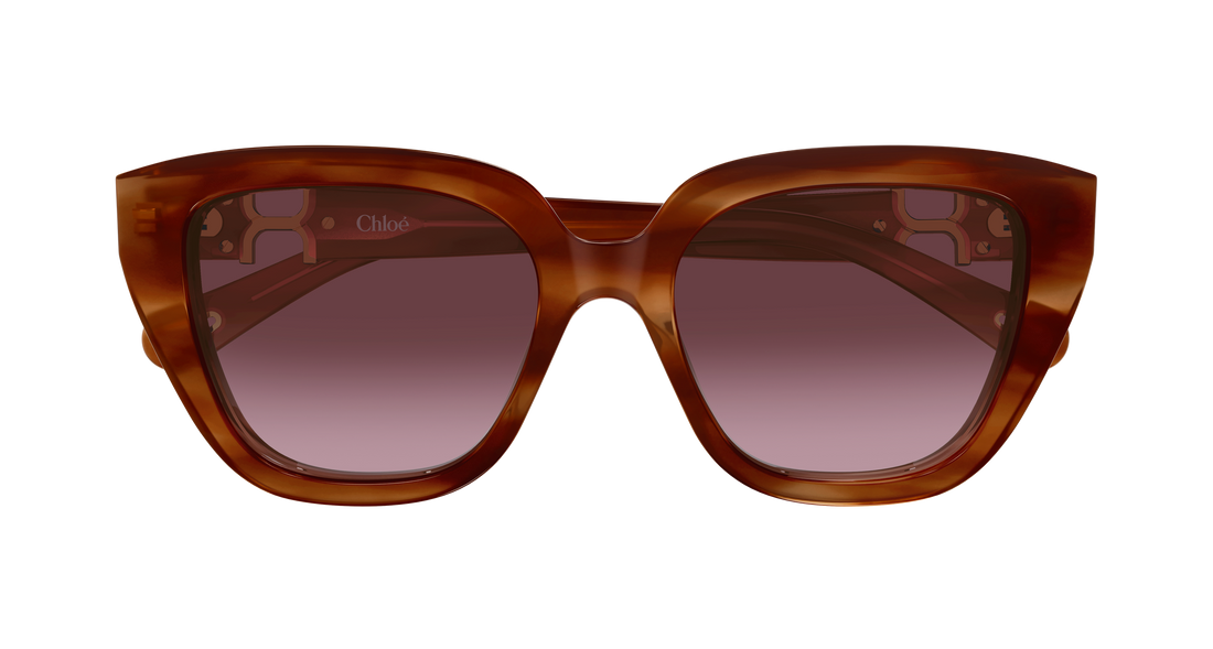 Zonnebrillen chloé ch0410s 003 havana cat eye femenino maat 53mm - Detailaanzicht