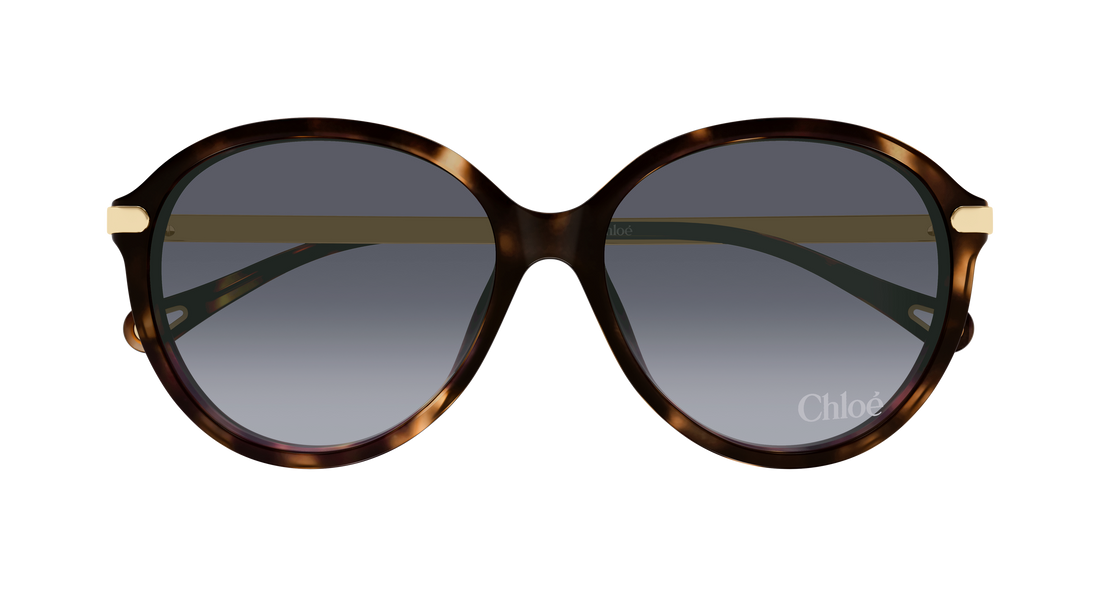 Gafas de sol chloé ch0358sk 002 havana round/oval/panthos femenino talla 59mm - Vista de detalle