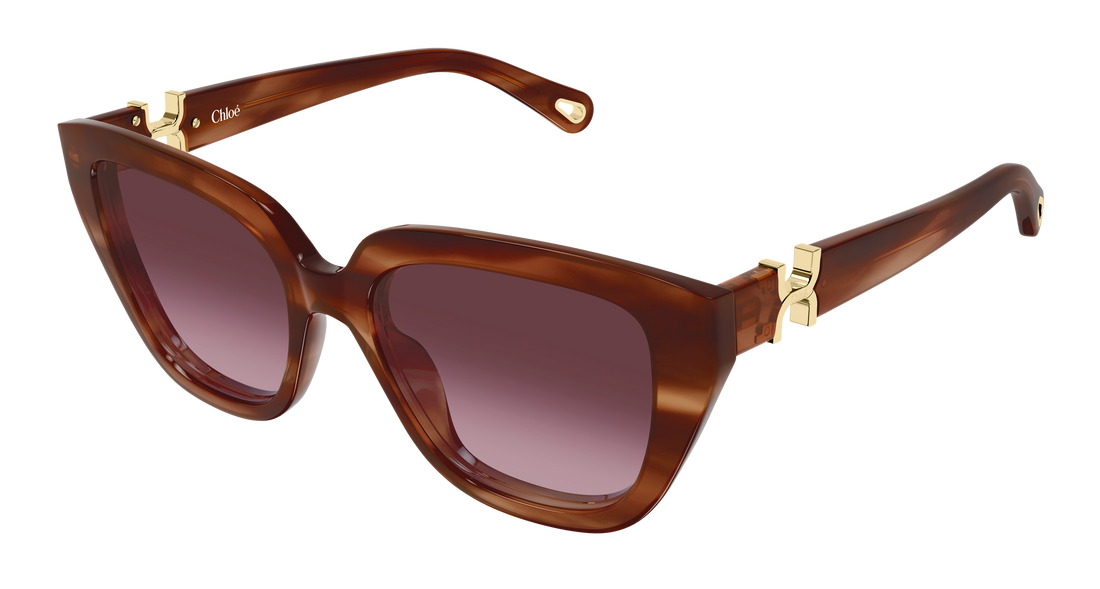 Zonnebrillen chloé ch0410s 003 havana cat eye femenino maat 53mm - Hoofdaanzicht