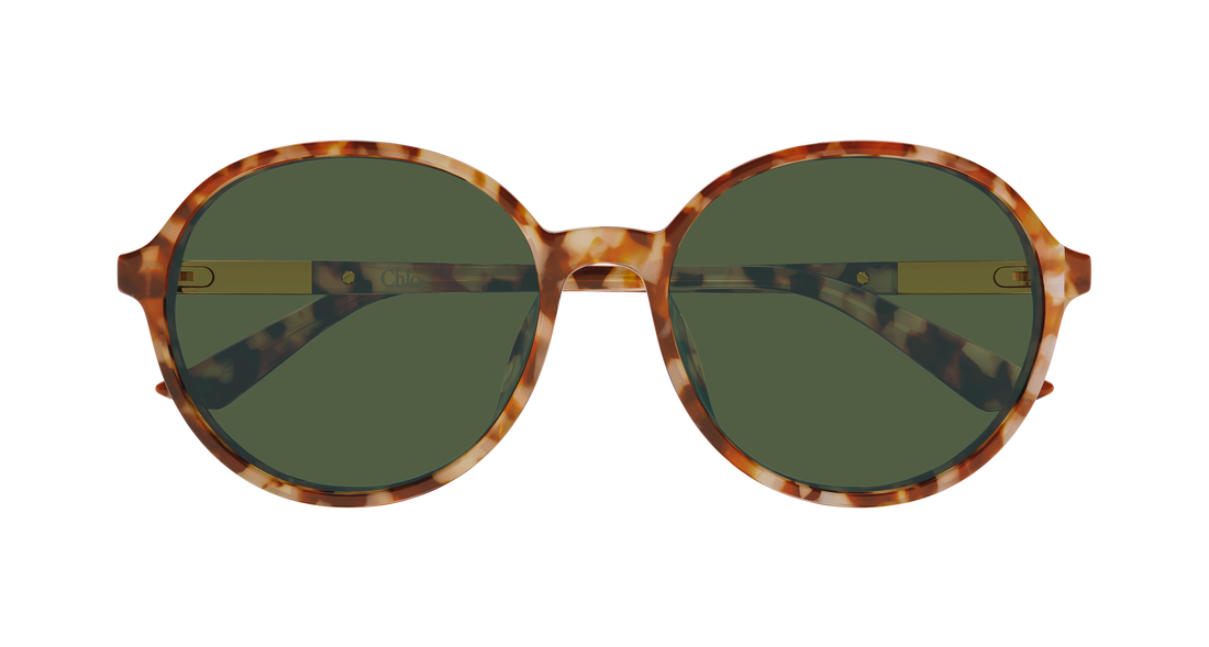 Gafas de sol chloé ch0365sk 004 havana round/oval/panthos femenino talla 57mm - Vista de detalle