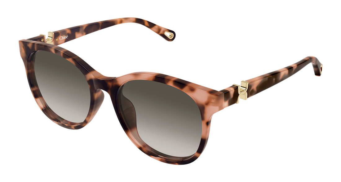 Óculos de sol chloé ch0375sk 002 havana round/oval/panthos femenino tamanho 56mm - Vista principal