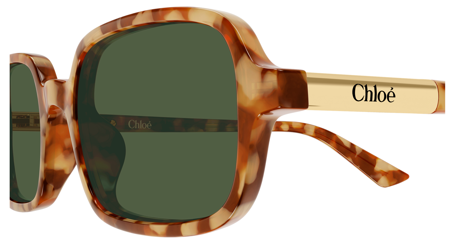 CHLOÉ CH0363S 003 53