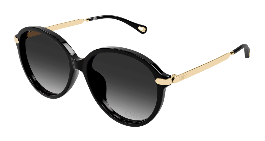 Gafas de sol chloé ch0358sk 001 negro round/oval/panthos femenino talla 59mm - Vista principal