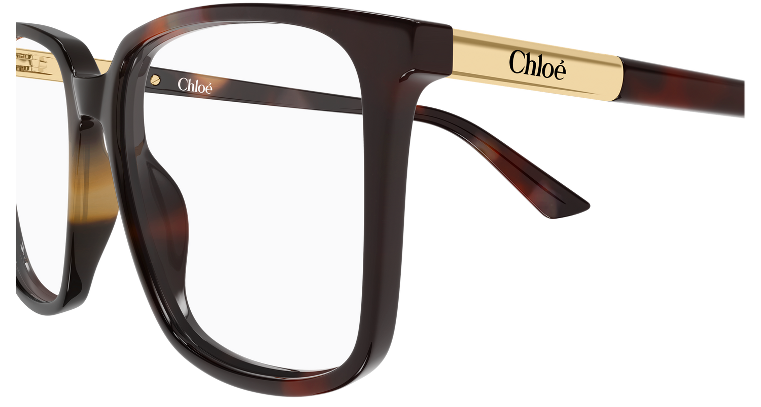 CHLOÉ CH0369O 003 55