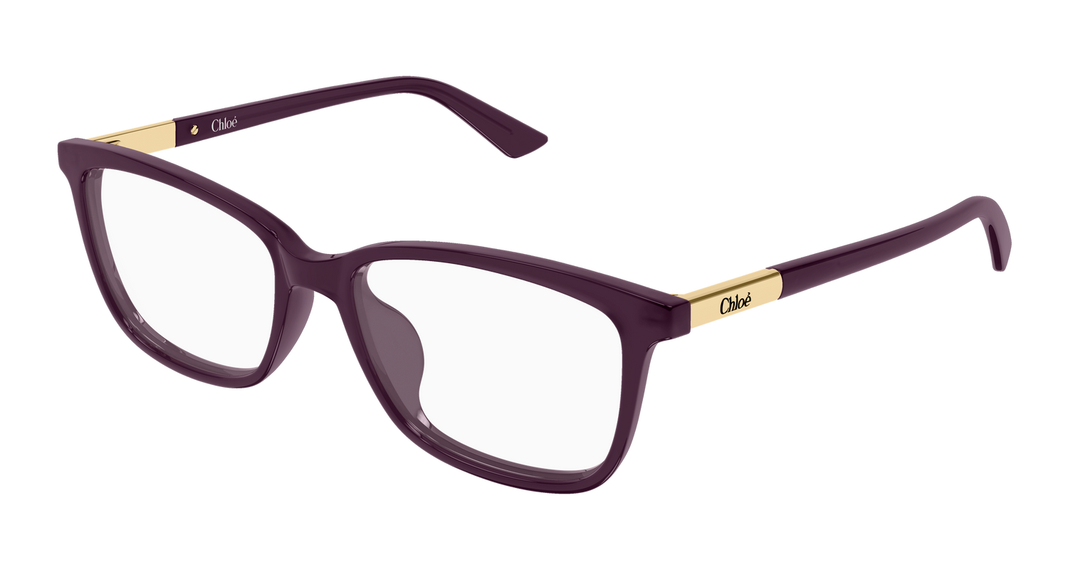 CHLOÉ CH0371OA 004 55