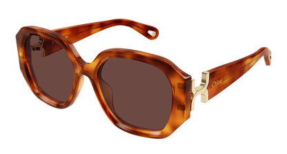 CHLOÉ CH0236S 006 56