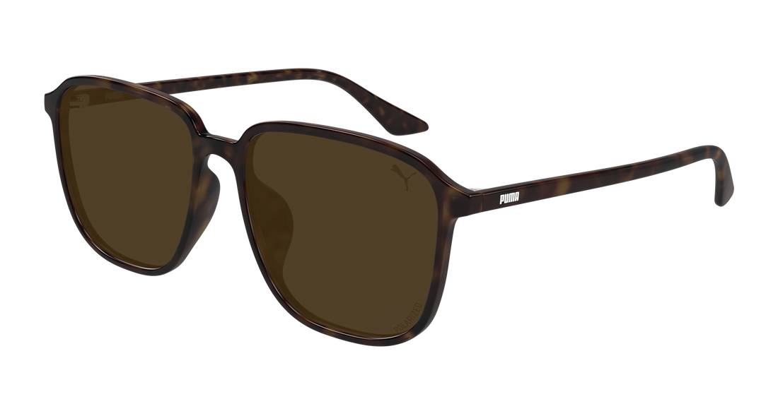 Lunettes de soleil puma pu0525sa 004 havana rectangular / squared masculino taille 58mm - Vue principale