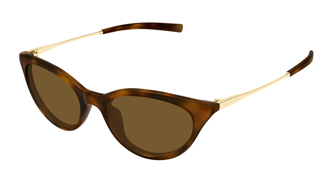 Lunettes de soleil saint laurent sl 932 003 havana cat eye femenino taille 53mm - Vue principale