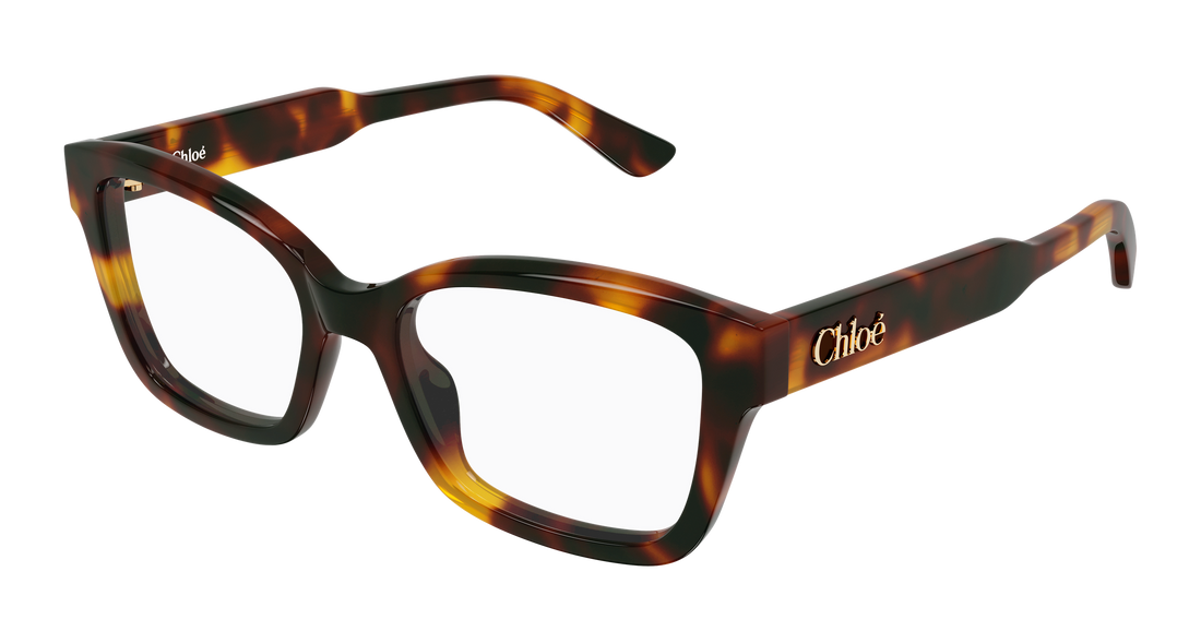 Briller chloé ch0380o 002 havana cat eye femenino størrelse 51mm - Hovedvisning
