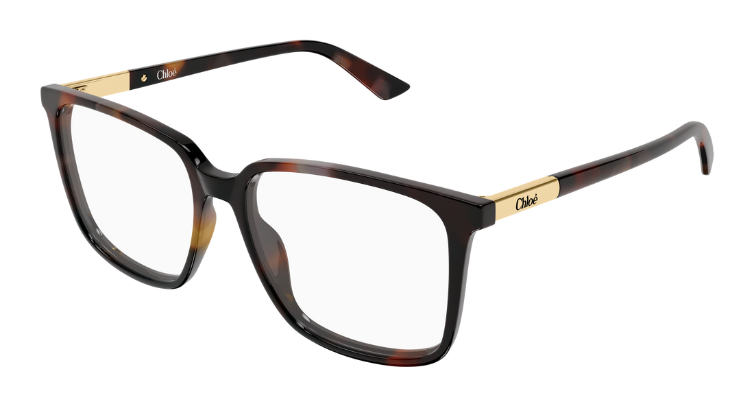 Briller chloé ch0369o 003 havana rectangular / squared femenino størrelse 55mm - Hovedvisning