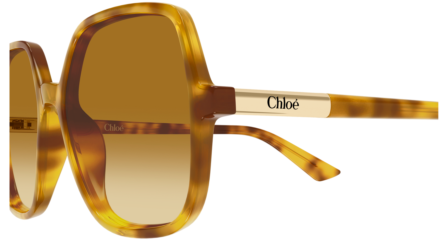 CHLOÉ CH0362S 004 55