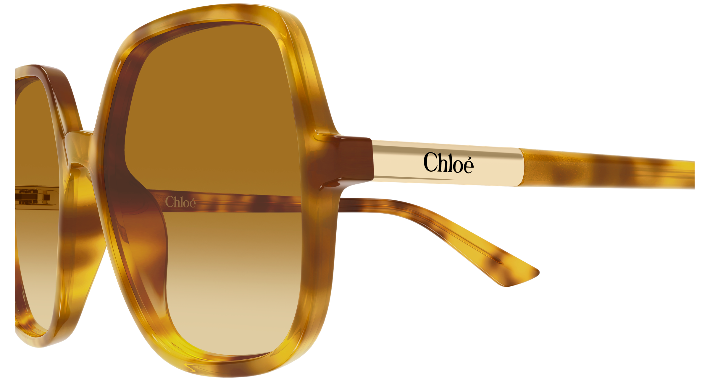 CHLOÉ CH0362S 004 55