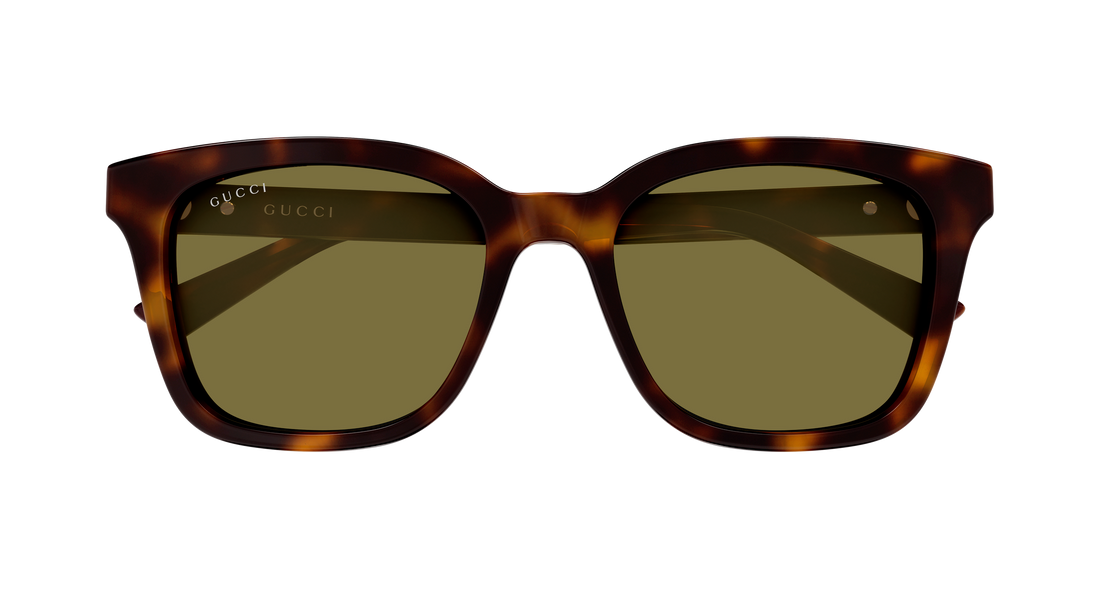 Zonnebrillen gucci gg2251sa 002 havana rectangular / squared masculino maat 54mm - Detailaanzicht