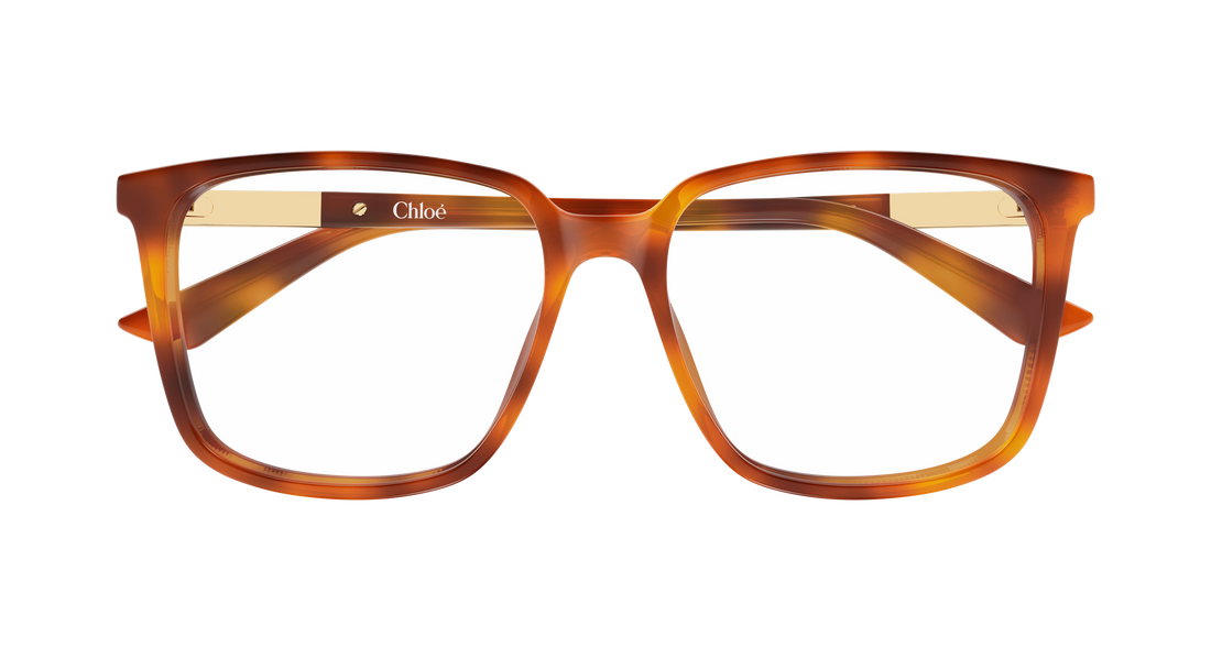 Briller chloé ch0369o 002 havana rectangular / squared femenino størrelse 55mm - Detaljeret visning