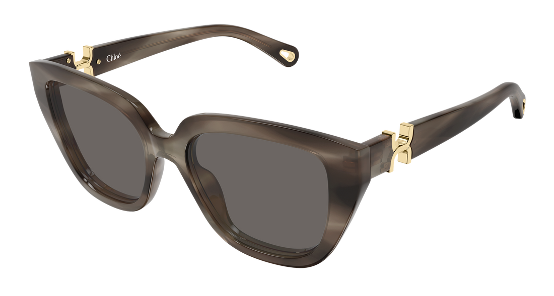 Zonnebrillen chloé ch0410s 002 havana cat eye femenino maat 53mm - Hoofdaanzicht
