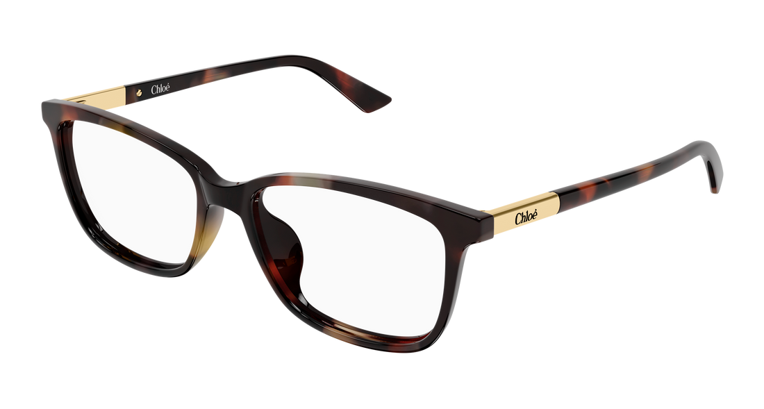 Briller chloé ch0371oa 002 havana butterfly femenino størrelse 55mm - Hovedvisning